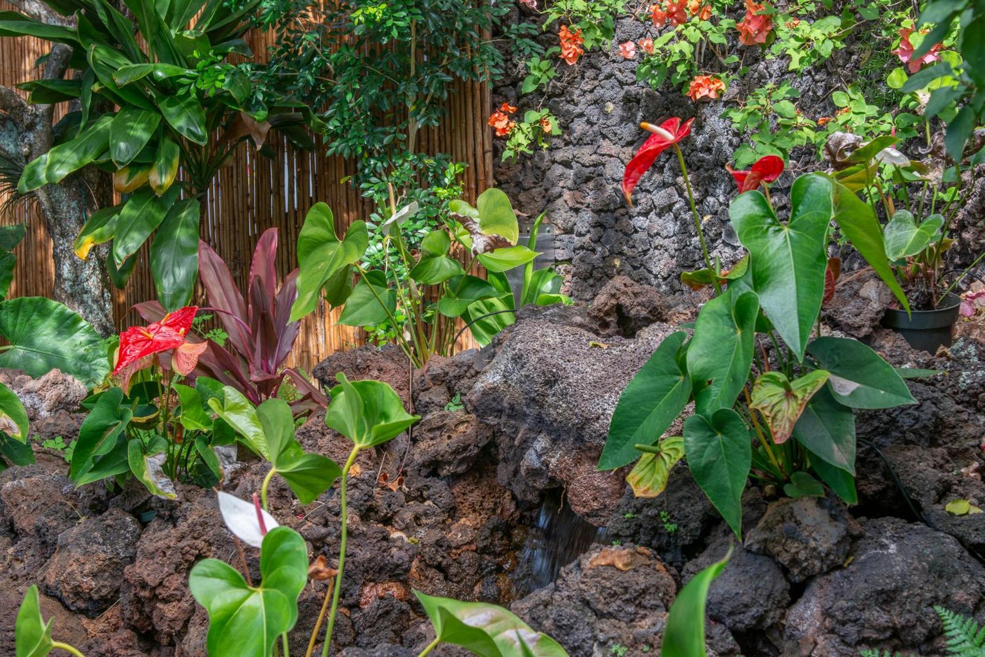 Napili Surf Beach Resort By Castle Kapalua Ngoại thất bức ảnh