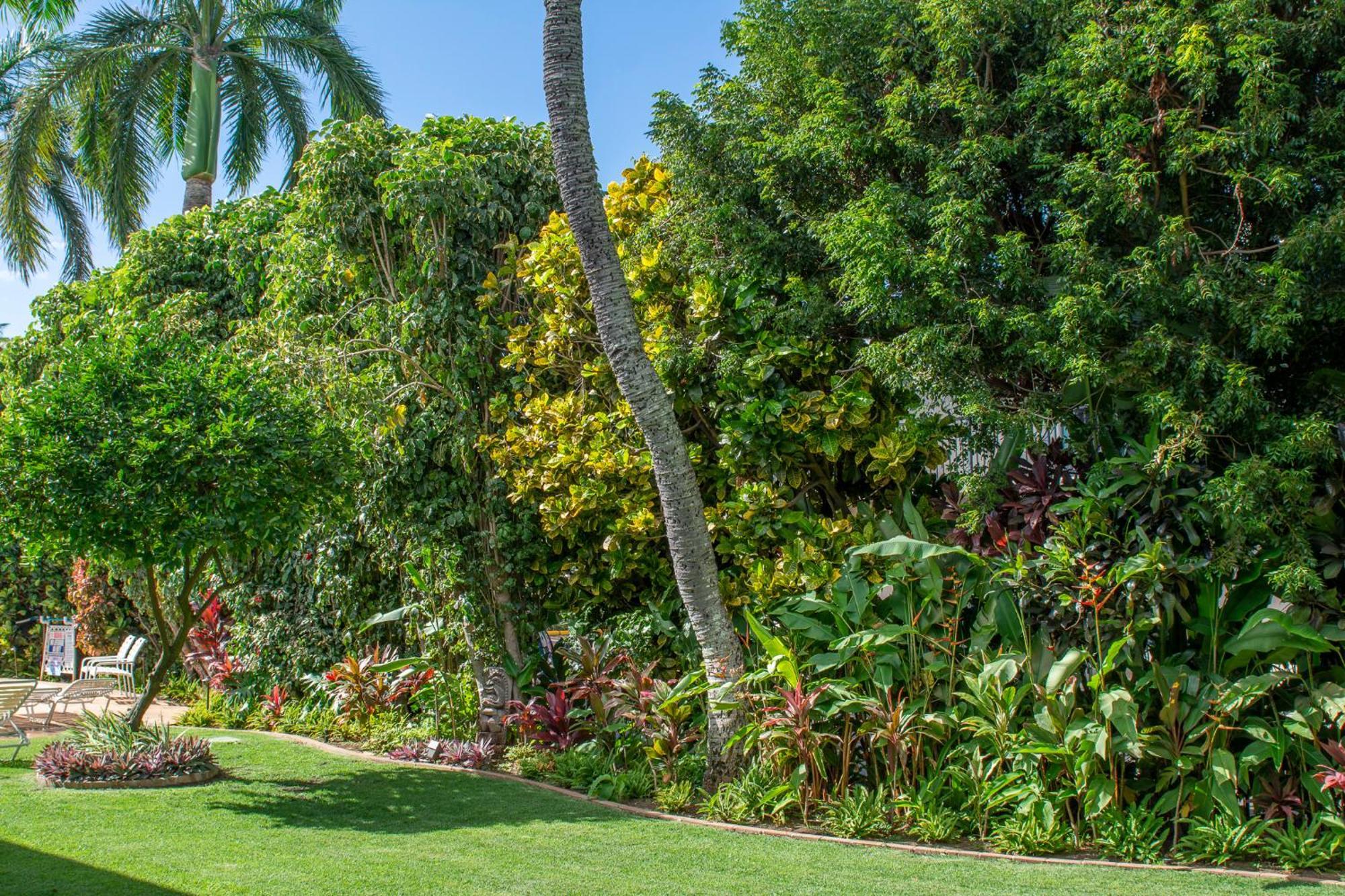 Napili Surf Beach Resort By Castle Kapalua Ngoại thất bức ảnh